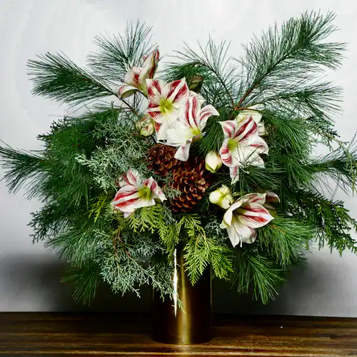 A floral arrangement in a gold vase featuring white and red striped lilies, pinecones, and assorted greenery, set against a plain light background on a wooden surface—perfect for those seeking flowers for sale in Manhattan NYC.