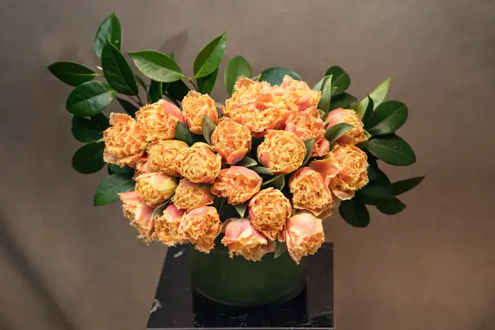 A bouquet of light orange tulips with frilled edges is arranged in a green vase, accented by glossy green leaves, set against a neutral brown background—perfect from a flower shop Manhattan NYC.