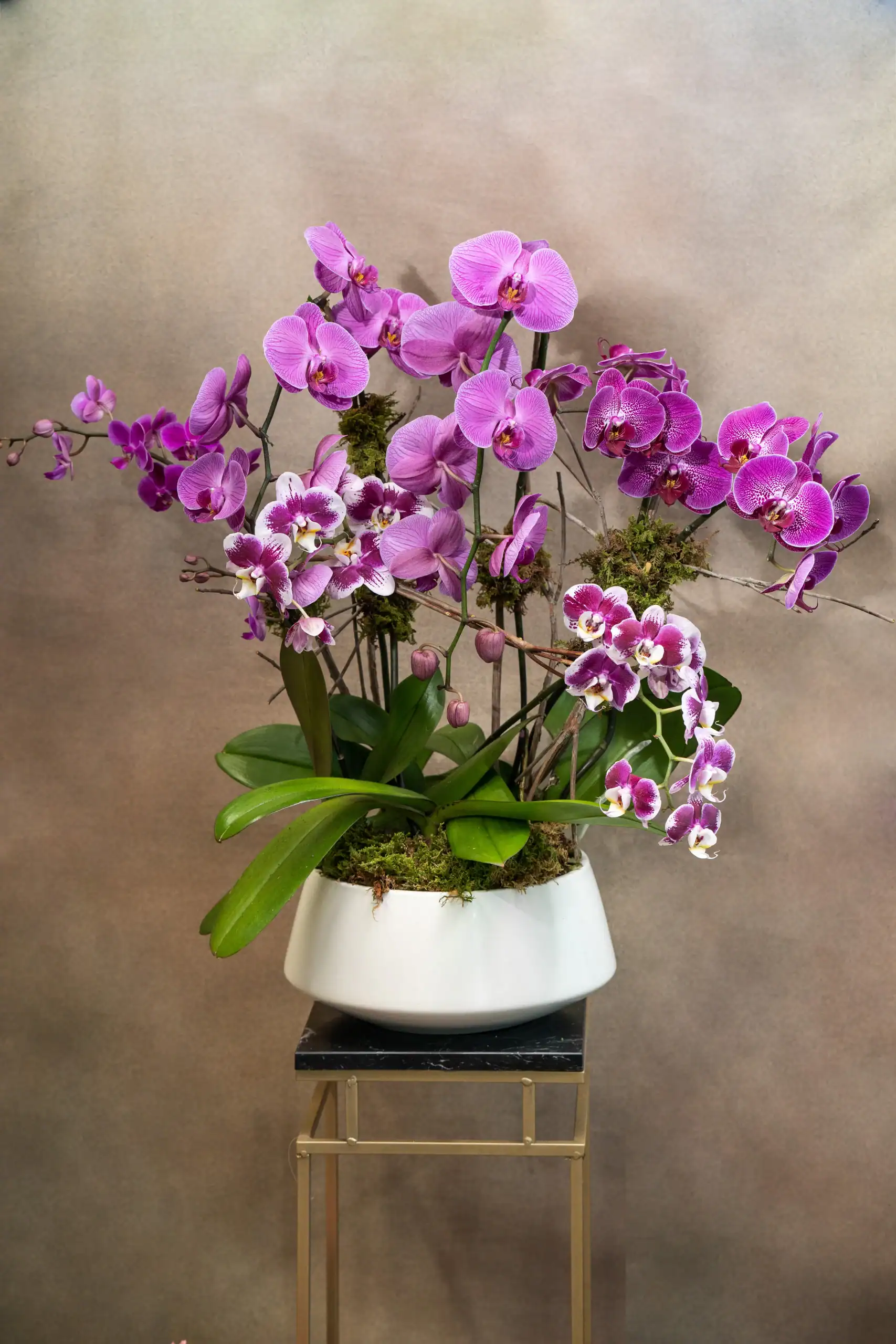 A white ceramic pot holds a vibrant arrangement of pink and purple orchids with green leaves, set on a small black and gold stand against a softly blurred beige background.