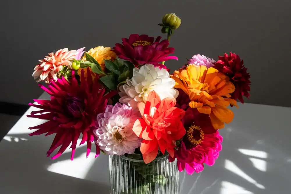 A clear glass vase holds a colorful bouquet of flowers, including red, pink, orange, white, and purple blooms, placed on a white table with sunlight casting shadows in the background.