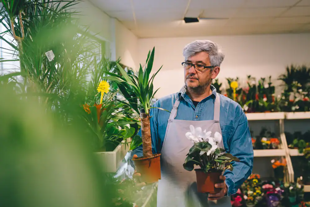 A middle-aged man wearing glasses and an apron holds two potted plants in a flower shop, surrounded by various green and flowering plants on shelves.