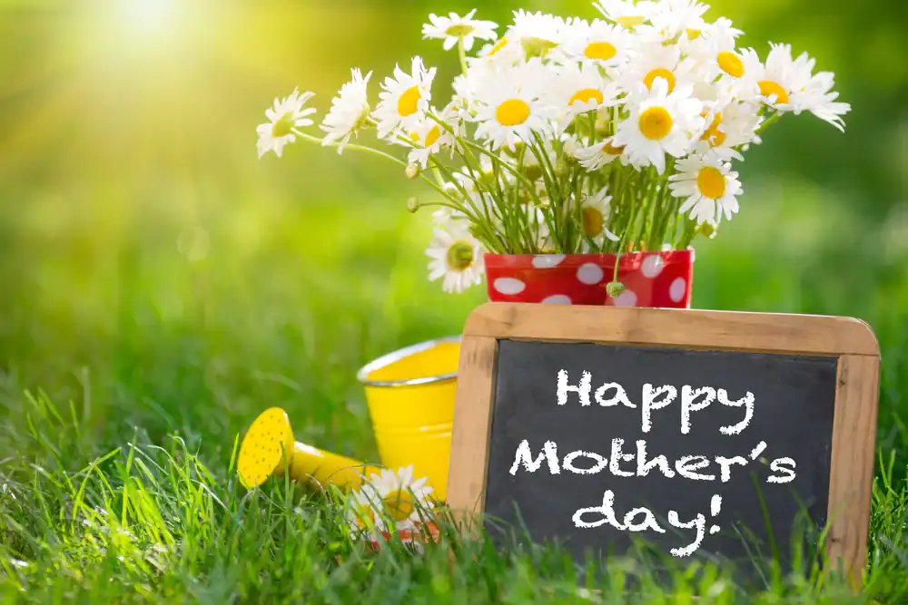 A bouquet of daisies in a red polka-dot pot sits on grass next to a yellow watering can. A chalkboard sign in front reads, "Happy Mother’s day!" Sunlight shines in the background.