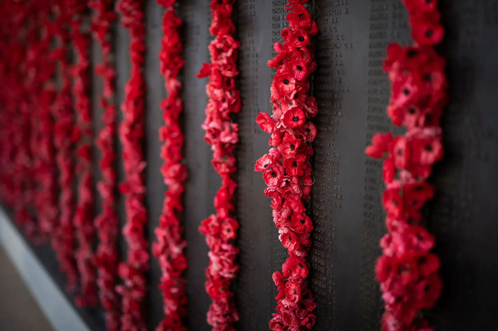 Red poppies are placed in rows on a dark memorial wall engraved with names, symbolizing remembrance and honoring fallen soldiers. The focus is on the vibrant flowers against the solemn backdrop.