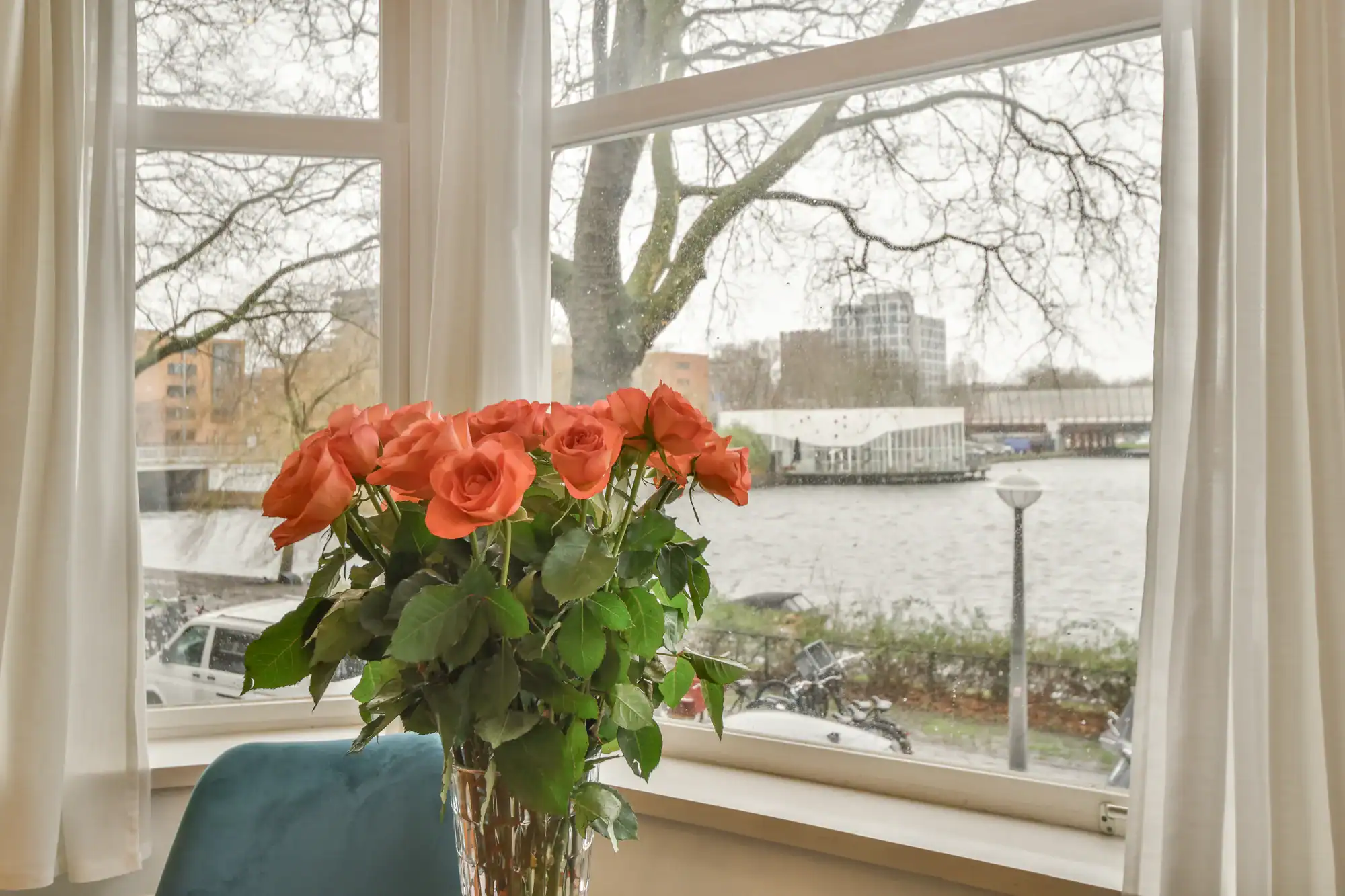 A bouquet of orange roses sits on an indoor windowsill, overlooking a river, trees, and modern buildings on a cloudy day.